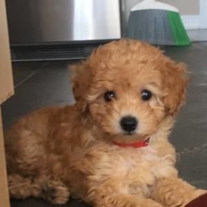 Meet your Posher, Beth